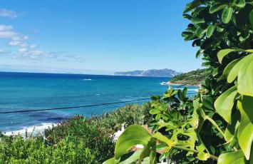 2-BR Apartment by the Sea - Photo 4