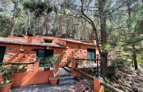 Casa Rural en medio del bosque, El Lance - Foto 13