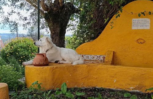 Monte Emitaj - Foto 12