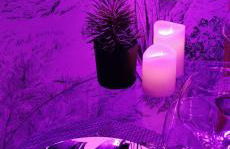 L'Essentiel - Love 5 Etoiles - Foto 45