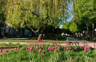 Apartament w Słupsku centrum bezpłatny parking - Photo 39