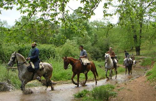 Apartamento de montaña y ESQUÍ en el Pirineo Aragonés, Villanúa - WIFI - Photo 26