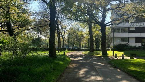 Chantilly - Photo 2, Garden view