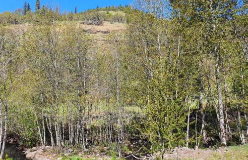 Cozy Cabin, near Mosier and Hood River - Foto 10