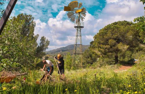 La Muntanera - Eco-friendly apartment - Foto 22