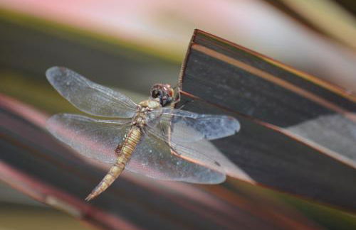 Avila Beach Retreat - Foto 27