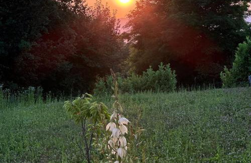 Apartman Perla - Foto 46