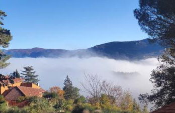 Profumo di Bosco - Photo 35