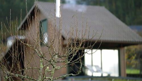 Vencello Estelar Compostela - Foto 3