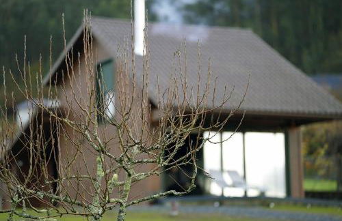 Vencello Estelar Compostela - Foto 3