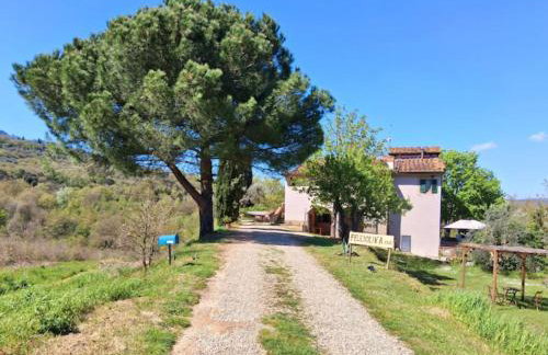 Felciolina - Medieval Country House - Foto 21