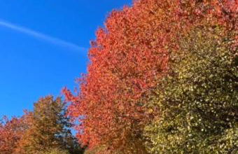 NEW ENTRY - Nuova villa nel verde - Foto 19