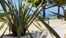 Casa Vittoria - Foto 3, Garden