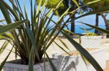 Casa Vittoria - Foto 3