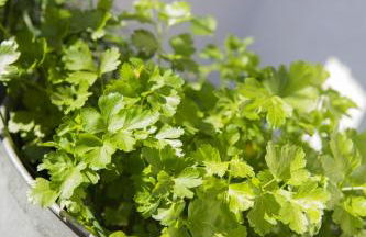 Kaffeehaus Blaslhöhe - Foto 49