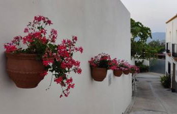 Alojamiento rural Los Pérez Lucainena de las Torres - Foto 51