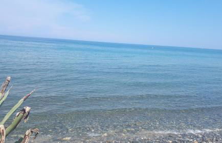 Magnifique Studio bord de mer numéro 88 - Foto 37