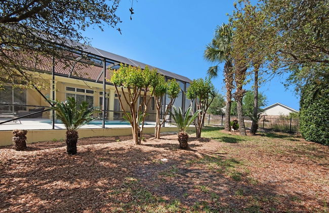 Sunny Days - Foto 50