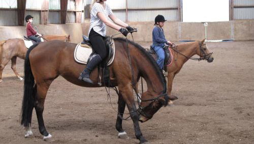 Hof Osterbunsbüll - Foto 2