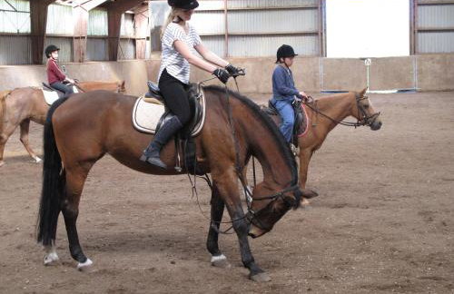 Hof Osterbunsbüll - Foto 2