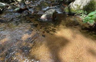 Um chalé e um riacho no meio da natureza - Foto 23