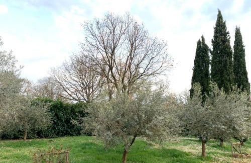 Oltre la Siepe Apartment - Foto 52