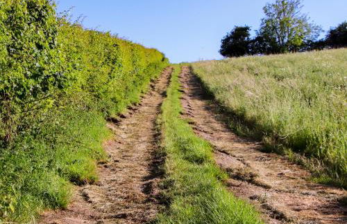 The Old Cowshed - Foto 19