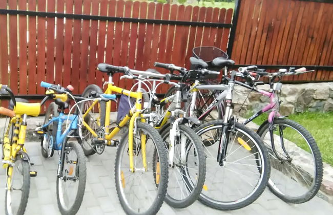 Jędrzejki - Foto 20