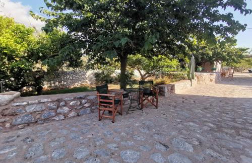 Guesthouse Toxotis - Foto 52