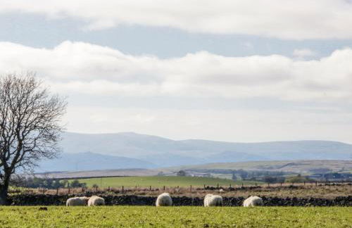 5 Ceirnioge Cottages - Photo 12