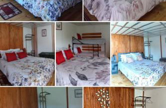 Alojamento Raminho dos Açores - Photo 51