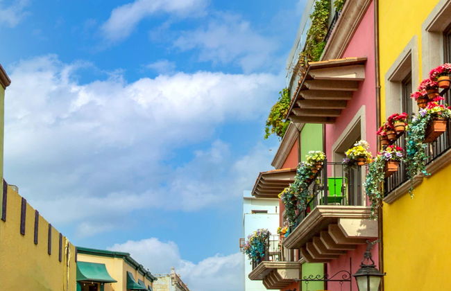 Free tour di Monterrey - Foto 1