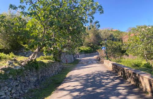 Les villas de Mélody - Foto 67