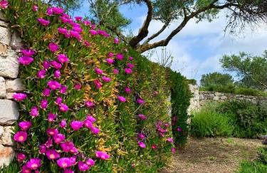 AMPELIA KYTHIRA - Foto 73