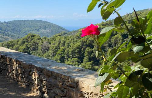Laas Daskios, Stone Country House, Skopelos Anania - Foto 68