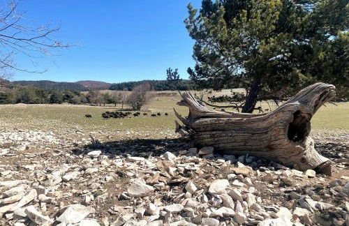 Le Mas des Oliviers - Foto 18