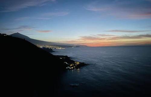 Toucan's Nest: Landing in Paradise - Foto 21