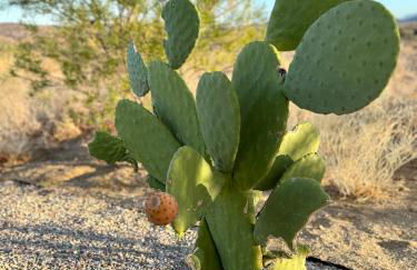 Poppy Ranch Pioneertown - Foto 67