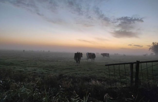 Veerman's Huis Ditzum - Photo 15