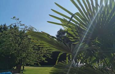 The Woodpeckers - Alresford Essex - Foto 42