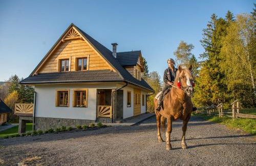 Chata Smagula - Foto 17