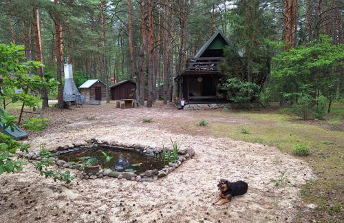 Wilga - klimatyczny domek z 2 tarasami - Foto 2