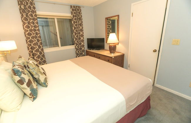 The Grey Gull - Foto 52