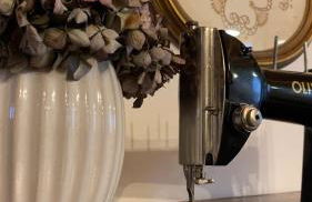 Quinta Vale Salgueiro - Foto 45