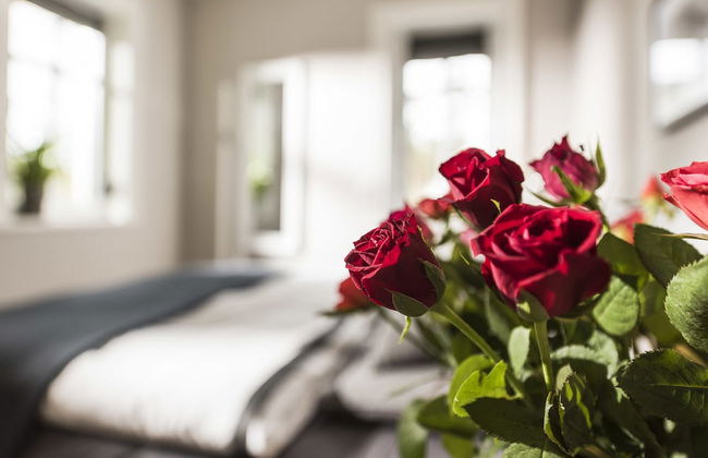 Kamphof Usedom Ferienanlage - Foto 15