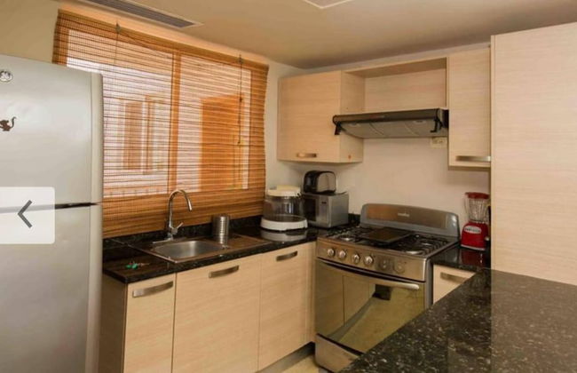 Ocean View, Private Beach, Playa Turquesa - Photo 15