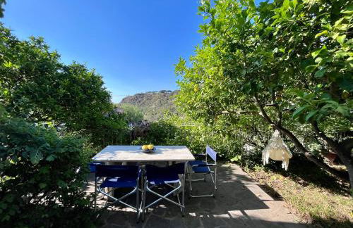 Villa Izzo - Foto 38