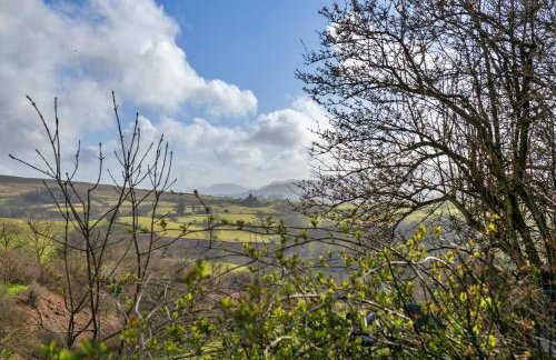 Finest Retreats - Dolwar Cottage - Foto 29