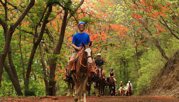 Balade à cheval dans le Parc Diamante Eco