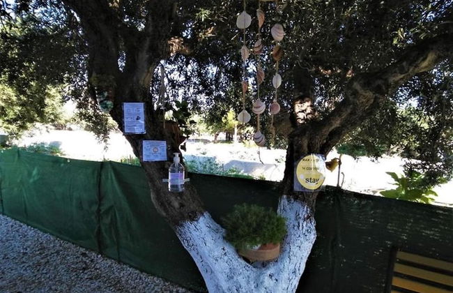 Apartments With Garden View, Creta, Ierapetra - Foto 33